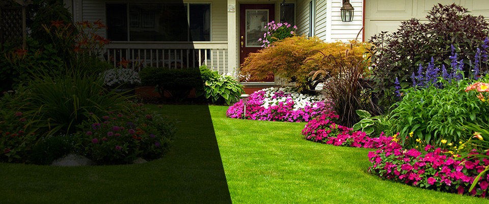 Fort Benning Landscapers